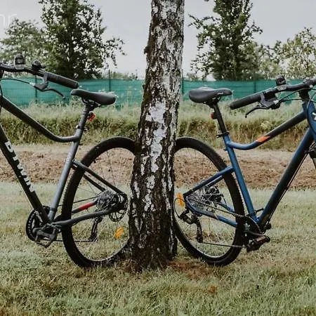 Duplex Proche Port Avec Vélos Appartamento
